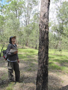 conducting vegetation surveys